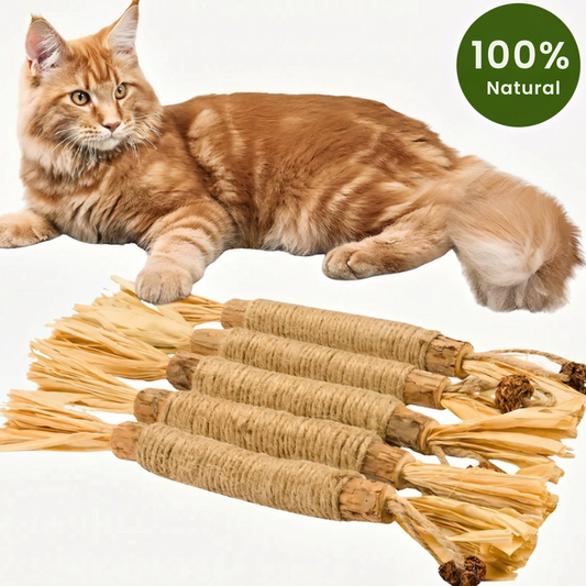 Pawrivo | Matatabi Dental Chew Sticks