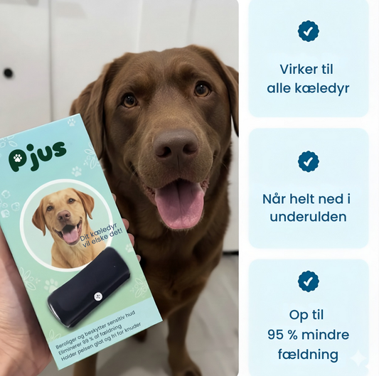 Pjus | Den førende løsning mod fældning hos kæledyr