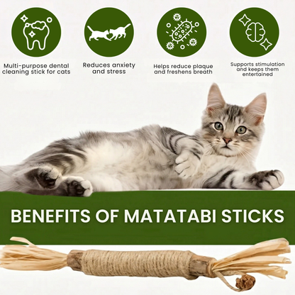 Pawrivo | Matatabi Dental Chew Sticks