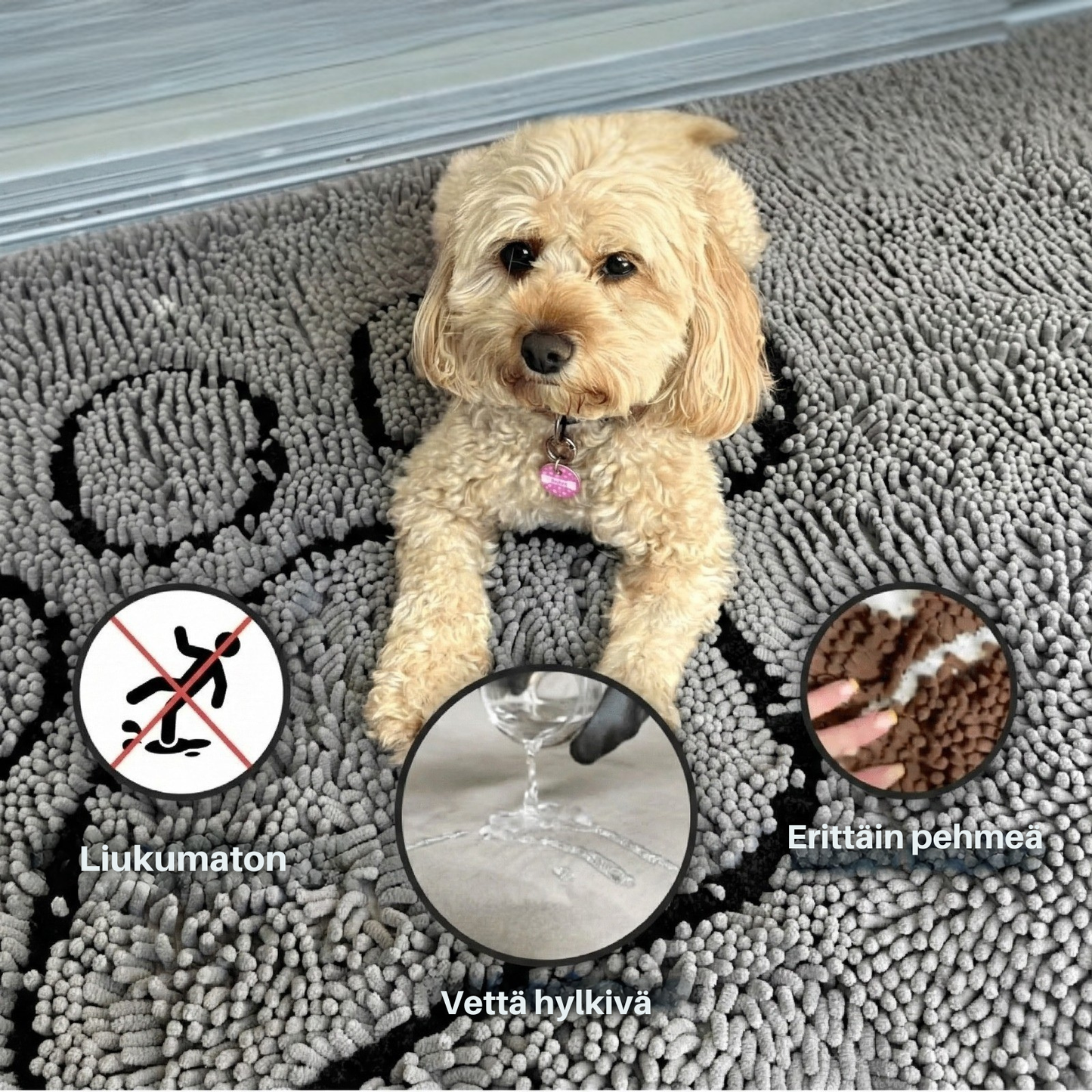 Pjus | koiran unelma