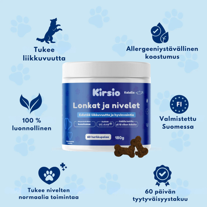 Kirsio I Lonkat ja nivelet – liikkuvuuden lisäämiseksi