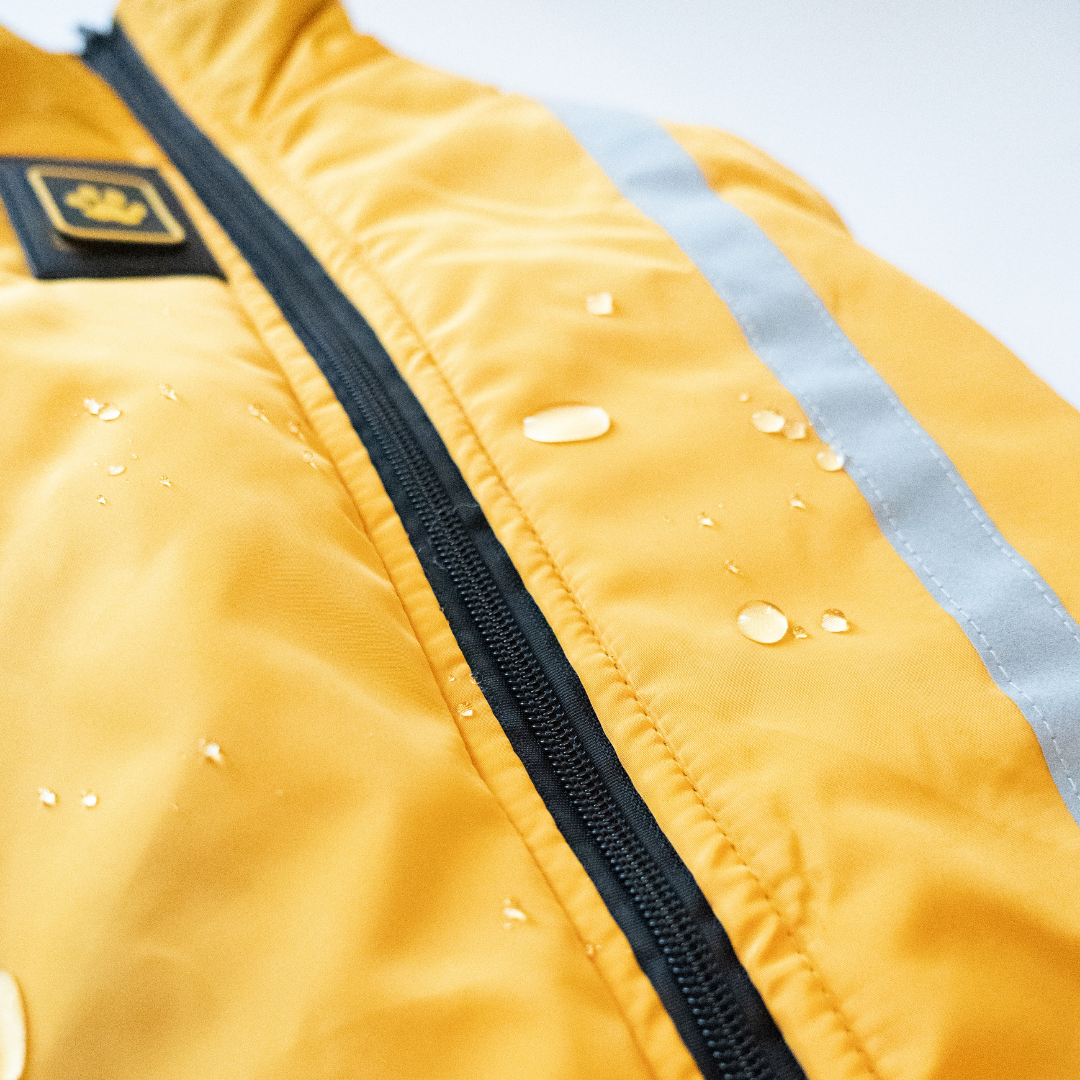 Kirsio I Active + Thermo Fleece -koirantakki