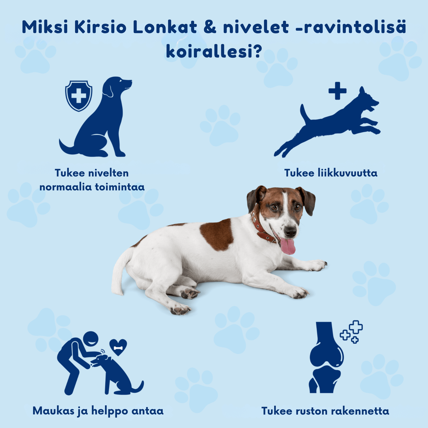 Kirsio I Lonkat ja nivelet – liikkuvuuden lisäämiseksi