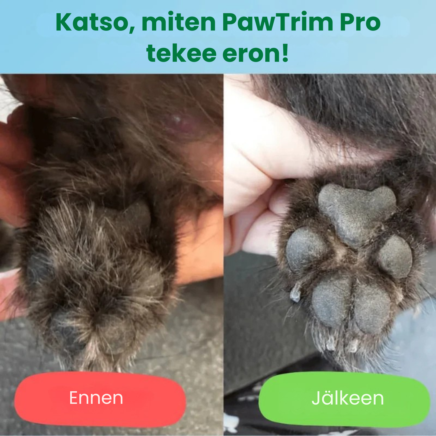 Kirsio Pro™ | Kivuton tassujen hoito sekunneissa