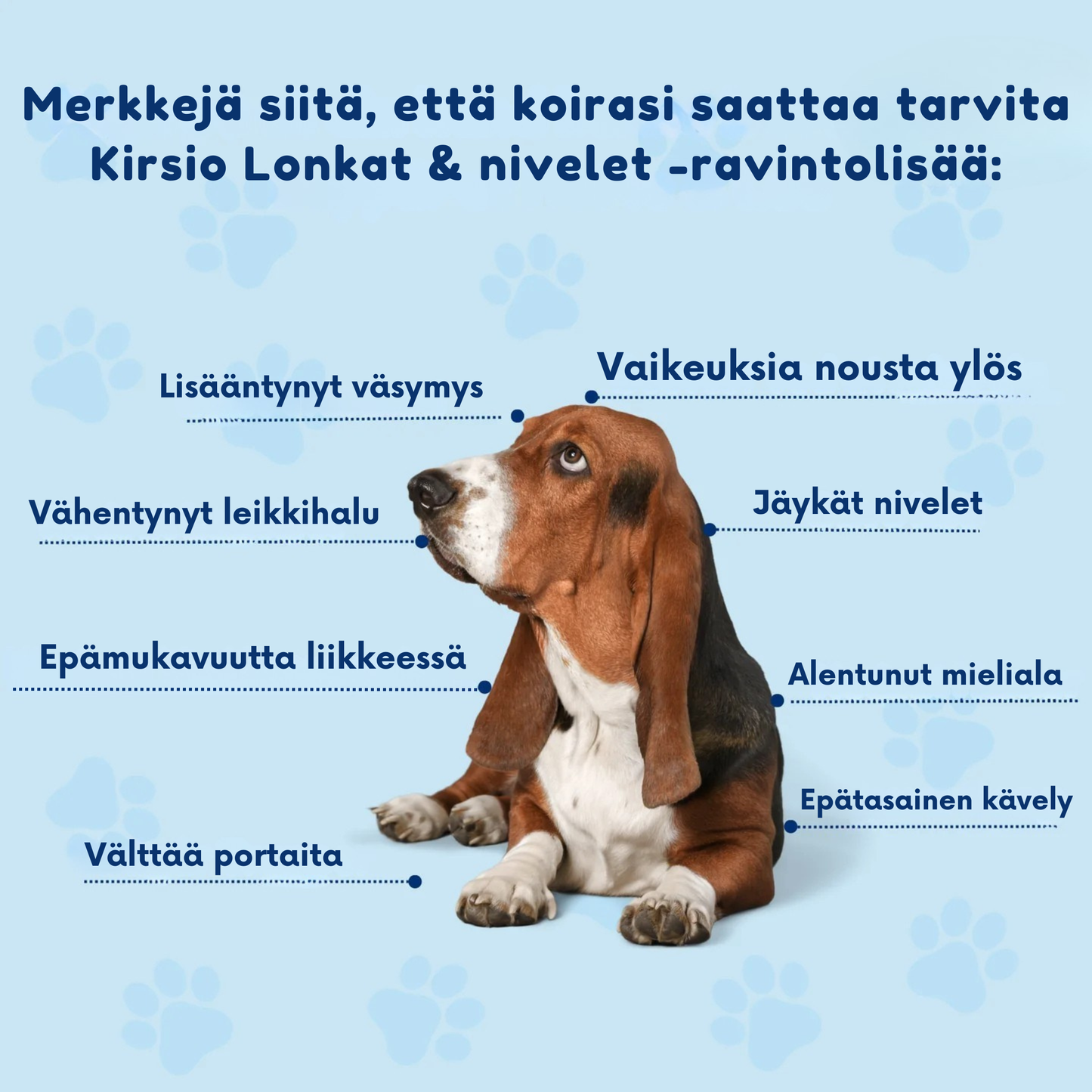 Kirsio I Lonkat ja nivelet – liikkuvuuden lisäämiseksi