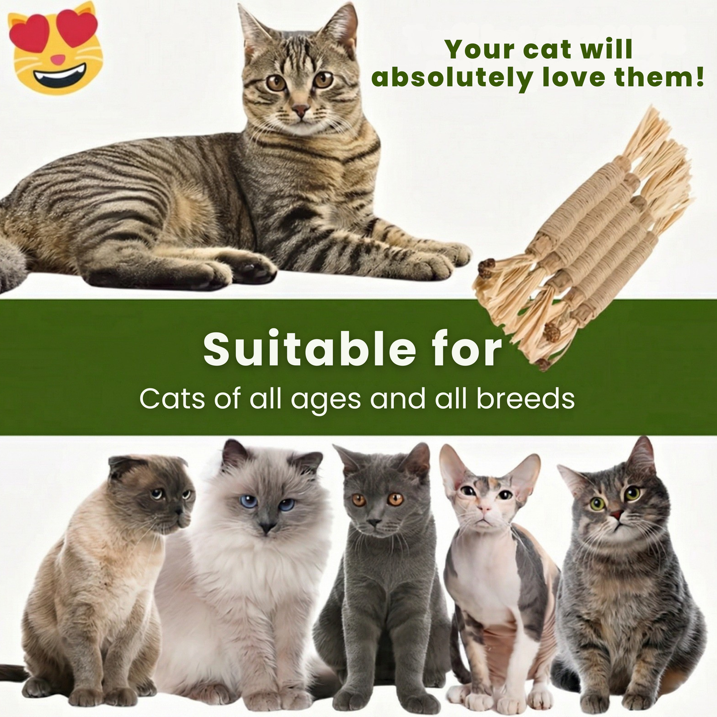 Pawrivo | Matatabi Dental Chew Sticks