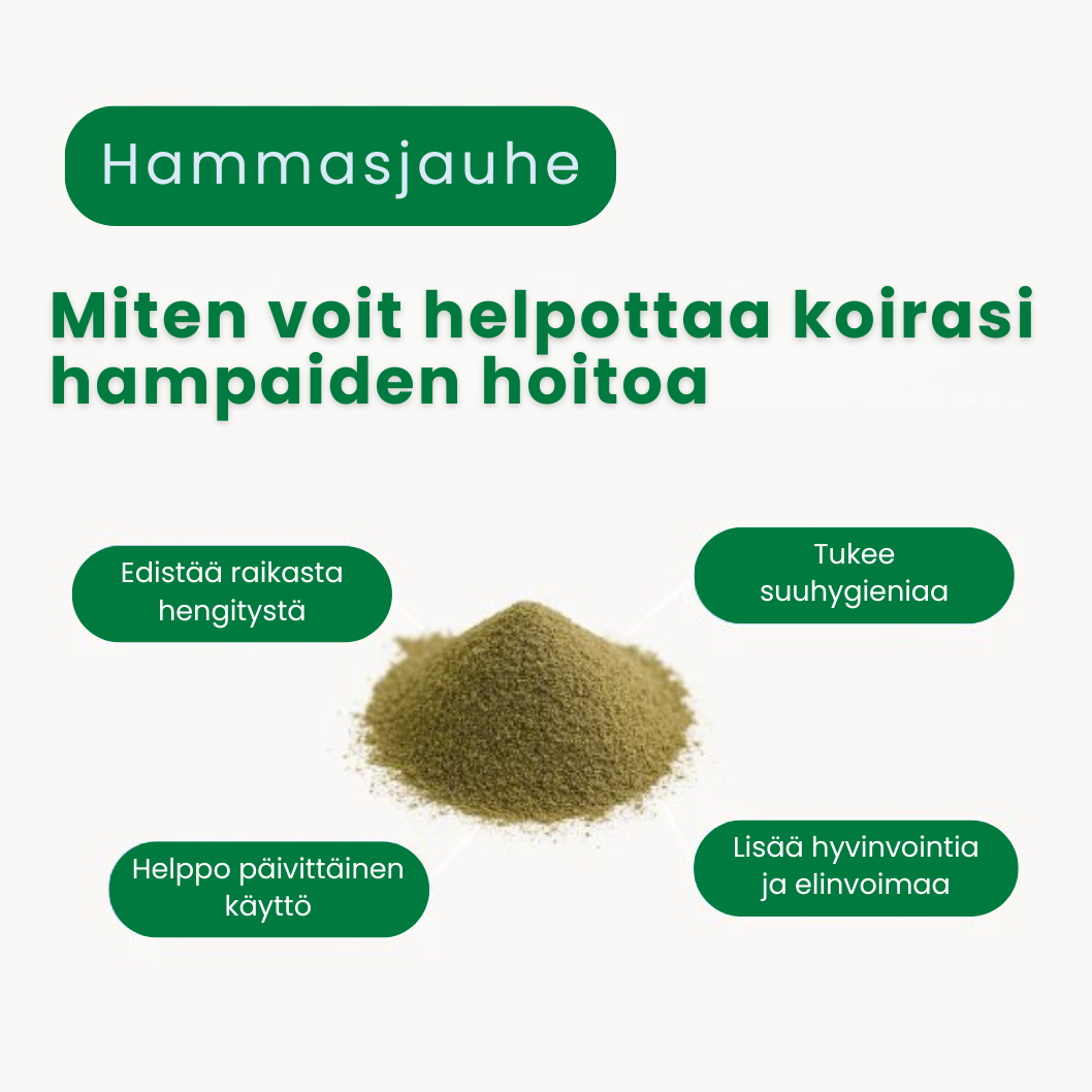 Kirsio I Hammasjauhe koirille