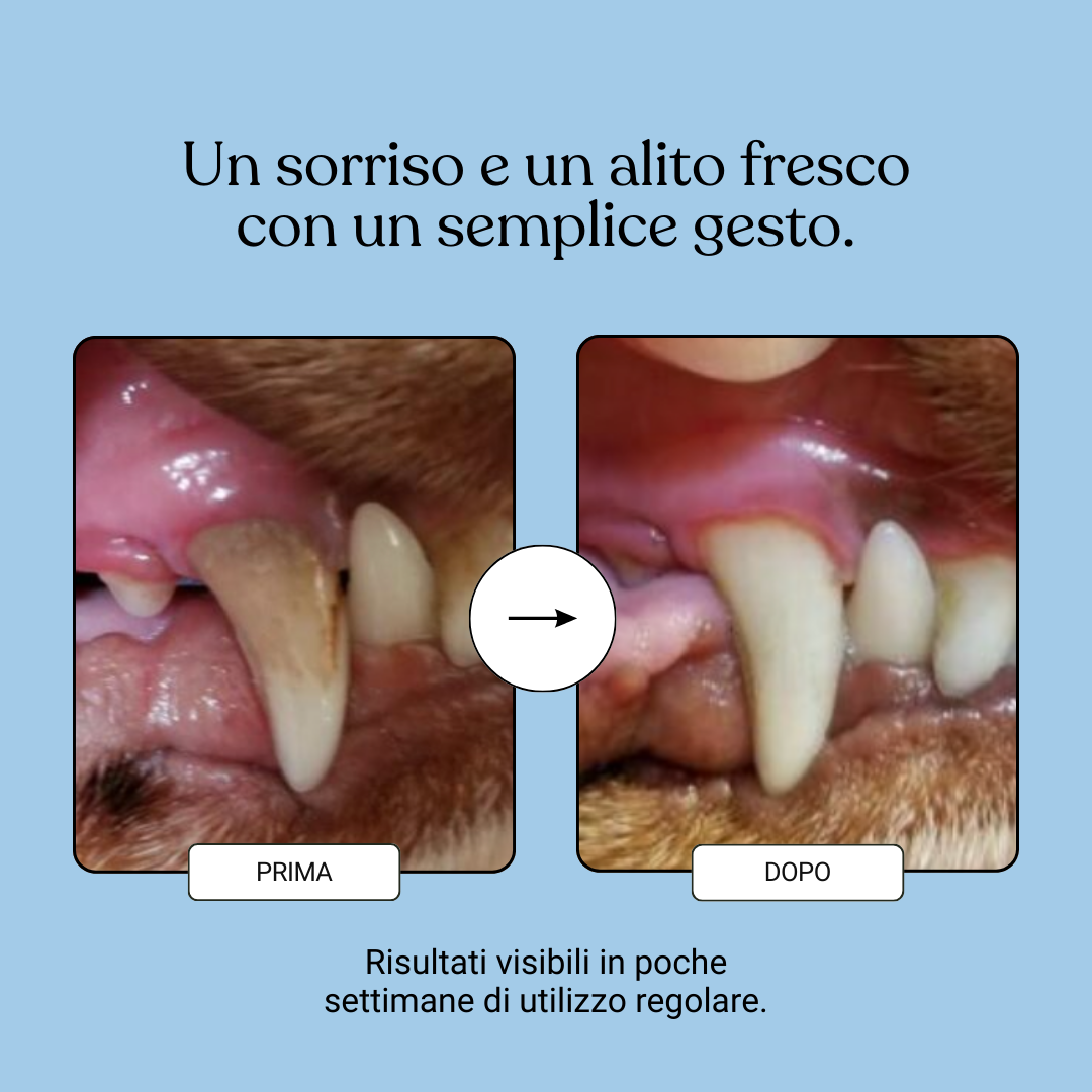 Dental Formula 5 in 1