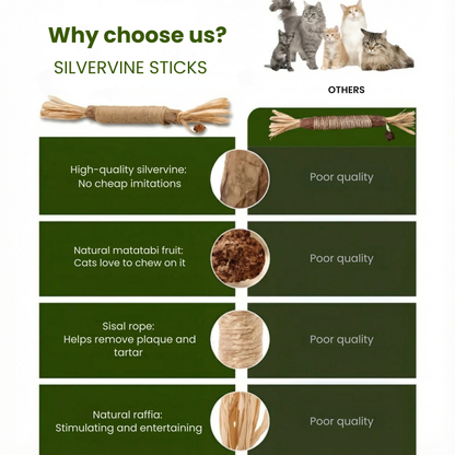 Pawrivo | Matatabi Dental Chew Sticks