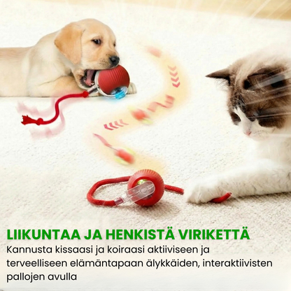 Kirsio | Älykäs lemmikkipallo 