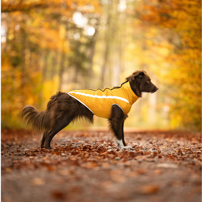 Kirsio I Active + Thermo Fleece -koirantakki