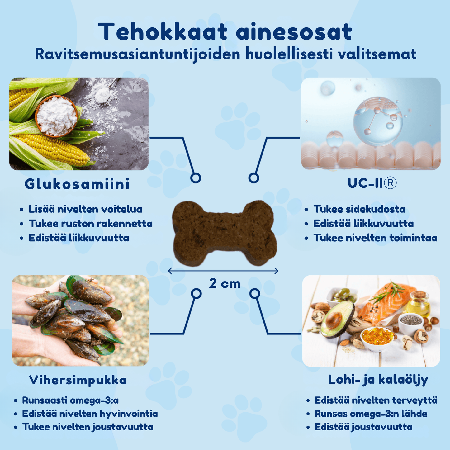 Kirsio I Lonkat ja nivelet – liikkuvuuden lisäämiseksi