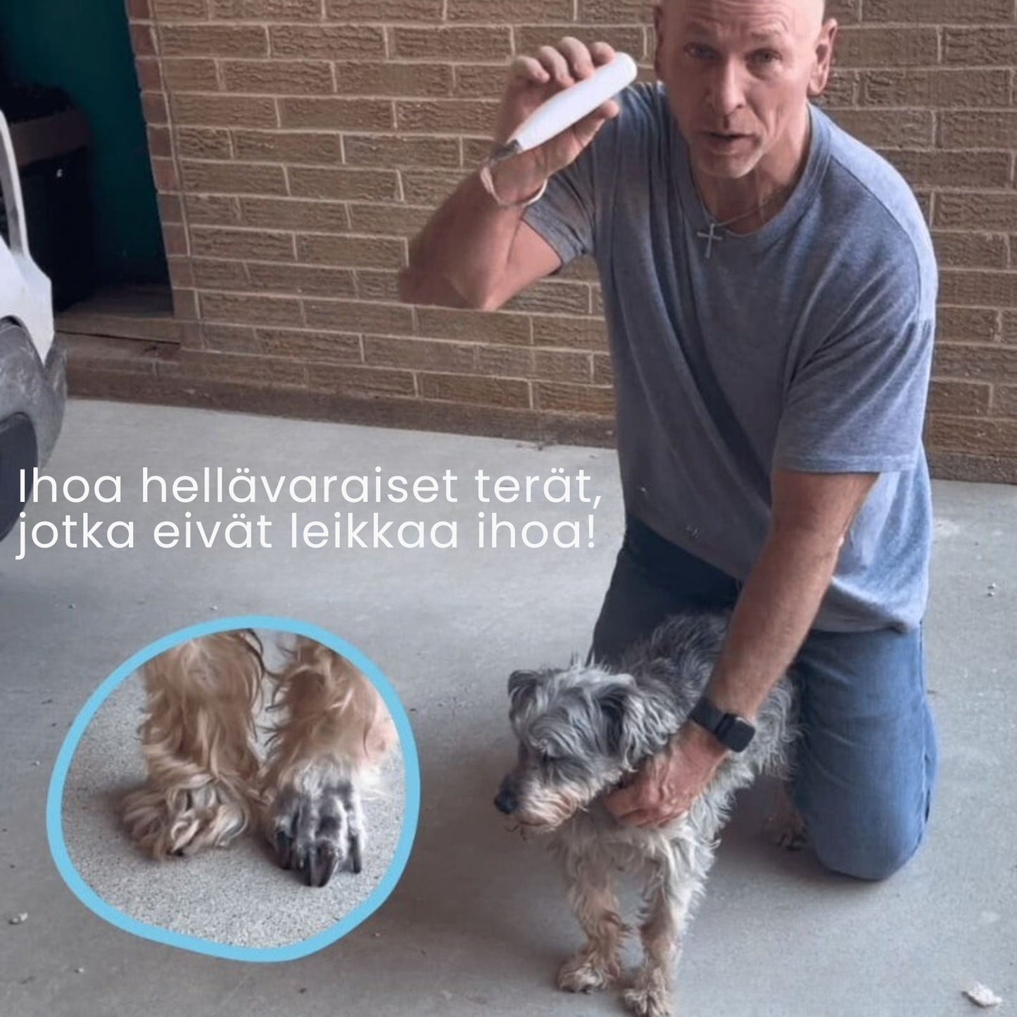 Kirsio Pro™ | Kivuton tassujen hoito sekunneissa