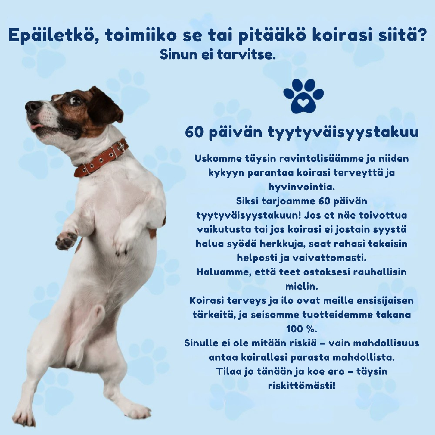 Kirsio I Lonkat ja nivelet – liikkuvuuden lisäämiseksi