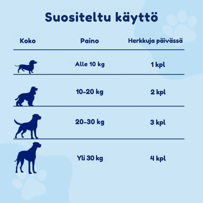 Kirsio I Lonkat ja nivelet – liikkuvuuden lisäämiseksi