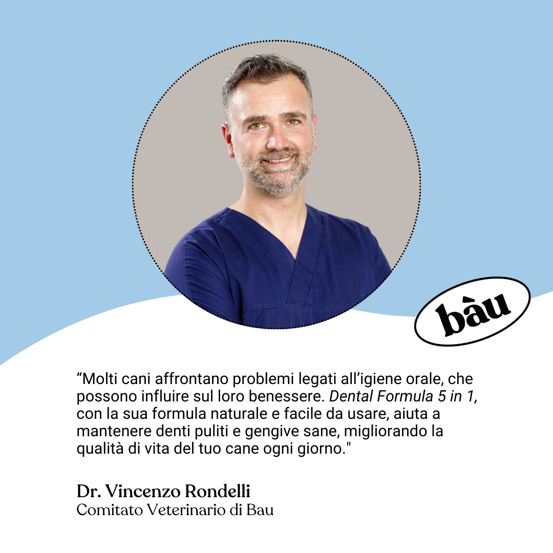 Dental Formula 5 in 1