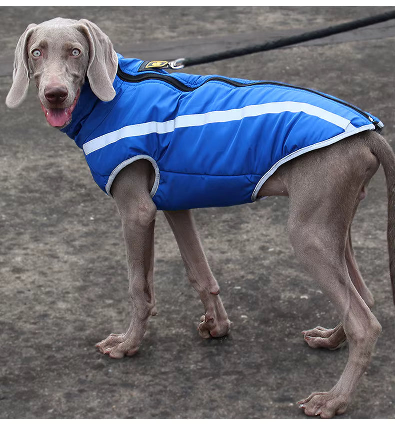 Kirsio I Active + Thermo Fleece -koirantakki