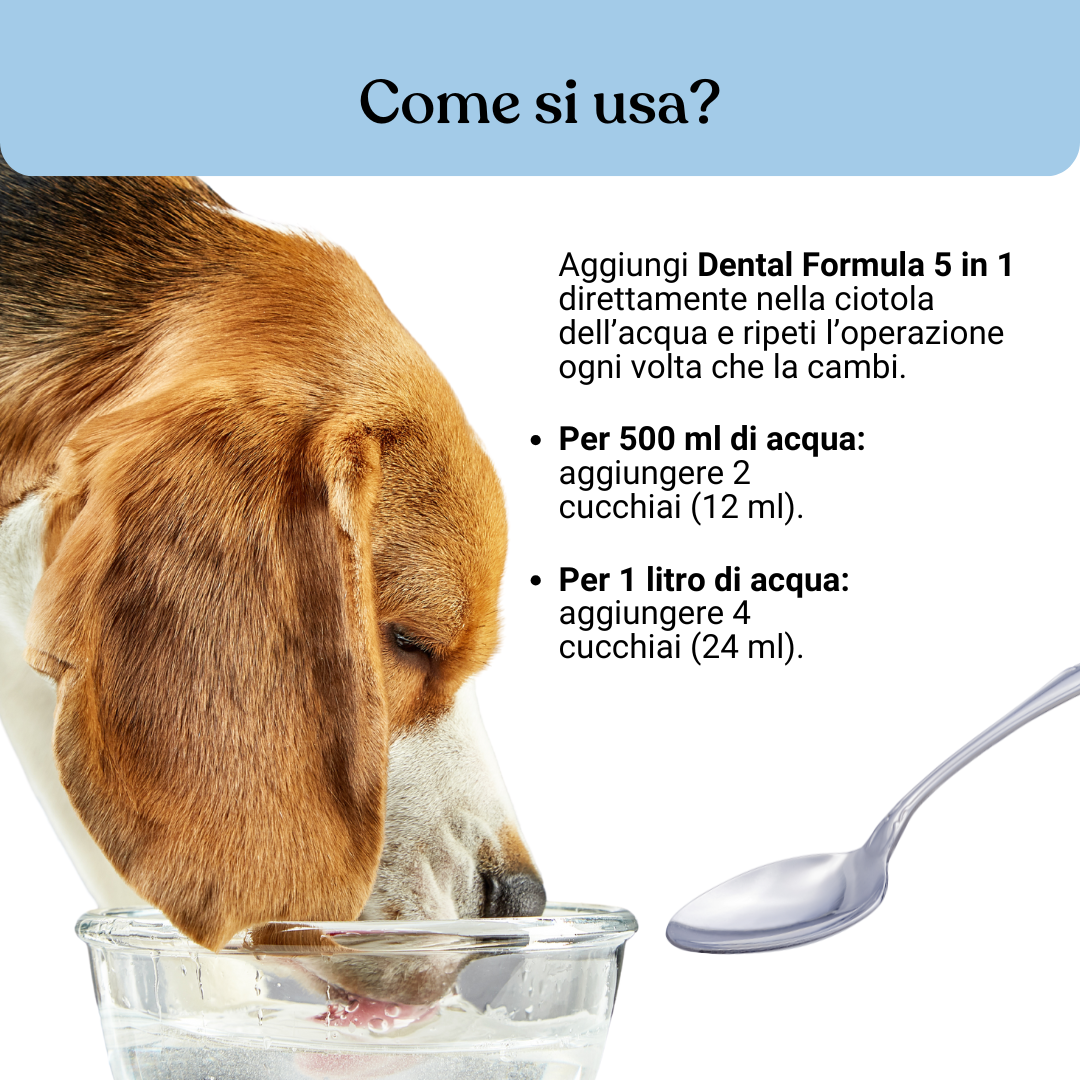Dental Formula 5 in 1